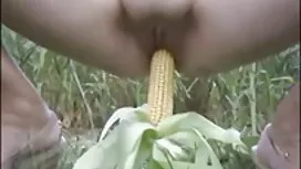 Latin Hussey xô đẩy  ...