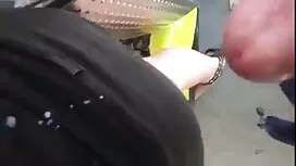 Tóc vàng gina từ trư ...